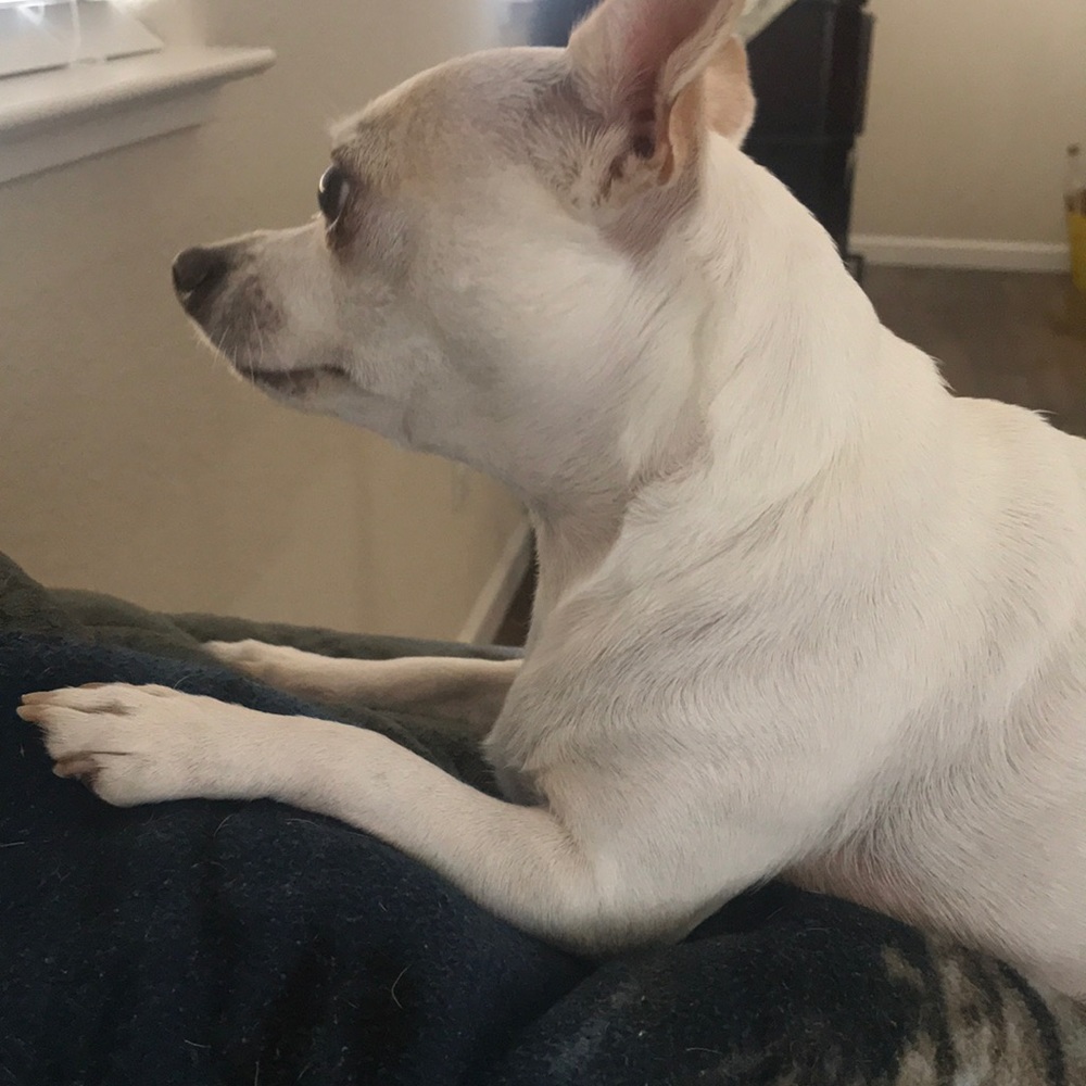 Meet your Posher, Account